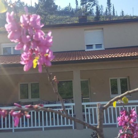 Apartment Marta Capljina Ngoại thất bức ảnh
